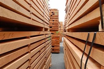 South korea wood market