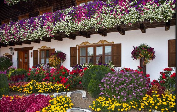 Germany flowers market