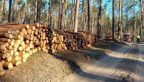 latvia-logs